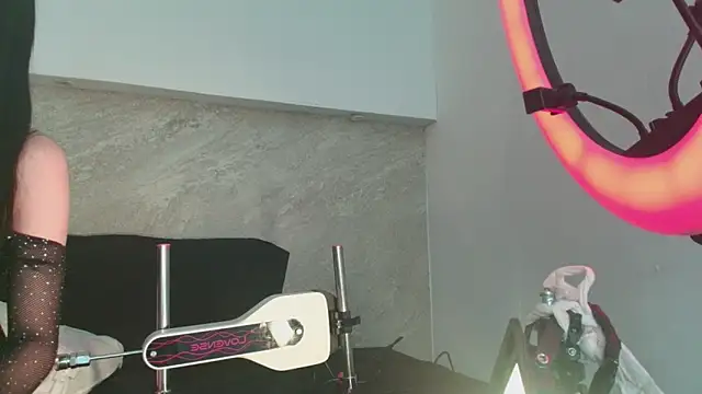 Dixie grey1 online show from 21, 3, 2026