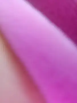 Snapshot of ShineBright88 chatting on 30, 10, 2025 ShineBright88 online show from 30, 10, 2025