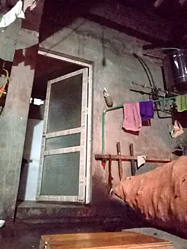 TinTin321 online show from 12, 11, 2025