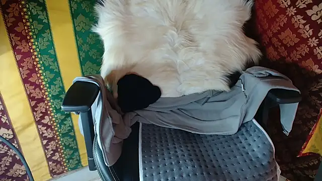 JUSTFORRICH online show from 15, 4, 2026