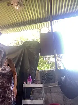 wildpussycat69 online show from 16, 4, 2026