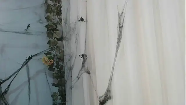 angelainparis28 online show from 21, 10, 2025