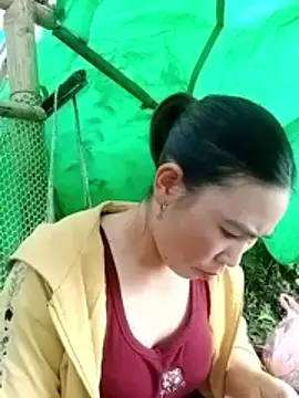 cicnci online show from 5, 11, 2025