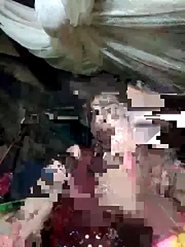 cicnci online show from 8, 11, 2025