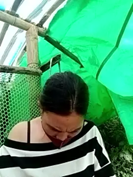 cicnci online show from 12, 11, 2025