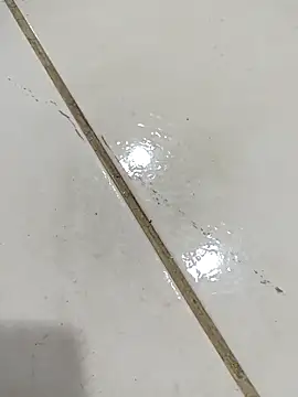 daring lily online show from 5, 12, 2025