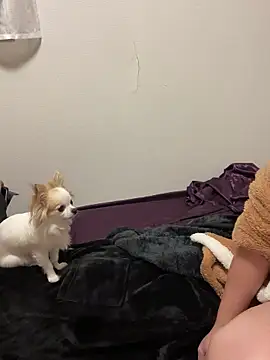 h415a812 online show from 4, 11, 2025