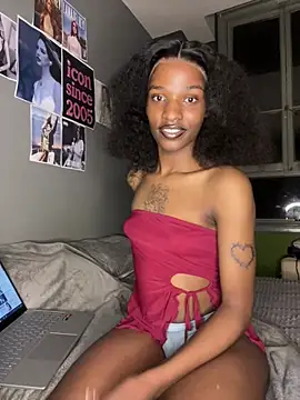 Snapshot of Trans_fairy chatting on 30, 7, 2026 Trans fairy online show from 30, 7, 2026