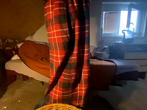 Salon1986 online show from 9, 11, 2025