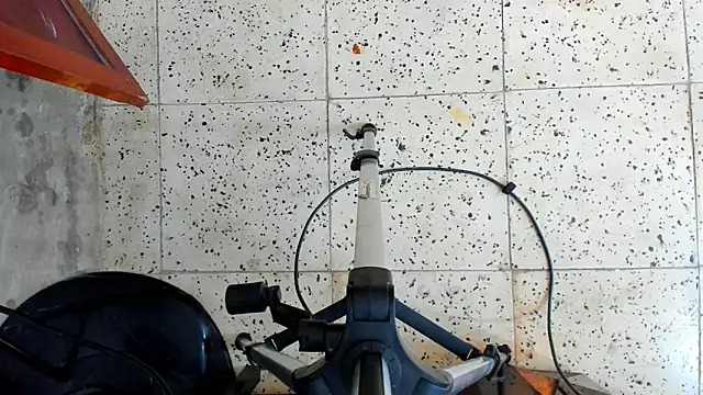 David niet online show from 16, 10, 2025