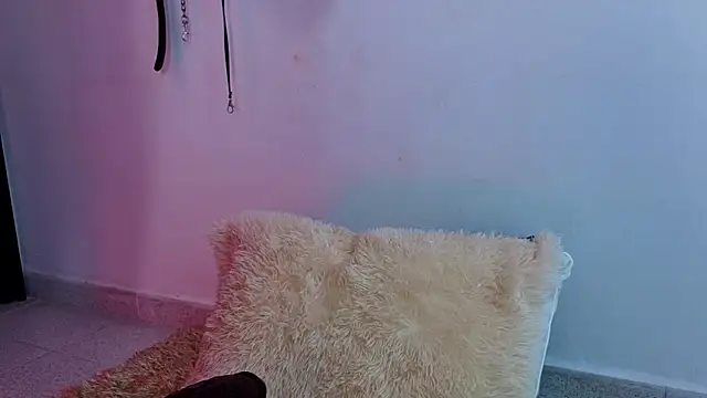 Issafoxx online show from 13, 4, 2026