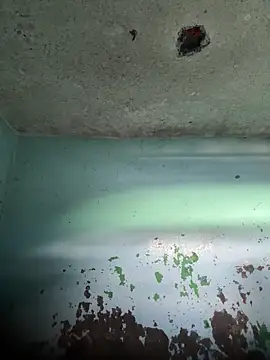 RandalHot online show from 15, 4, 2026