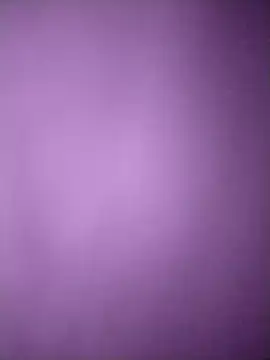 amolicars online show from 8, 11, 2025