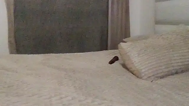 SexyNonnyy online show from 10, 10, 2025