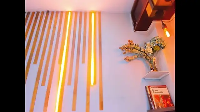 Jennifer Vega1 online show from 9, 11, 2025