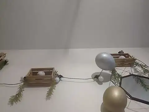 nousmeme0123 online show from 20, 2, 2026