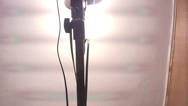 Snapshot of Terraelowen chatting on 25, 2, 2026 Terraelowen online show from 25, 2, 2026