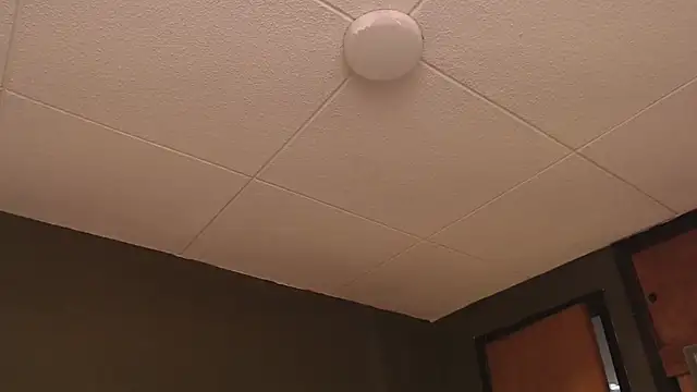 PaulEvens online show from 17, 10, 2025