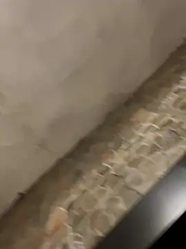 BrandonBlack online show from 7, 2, 2026