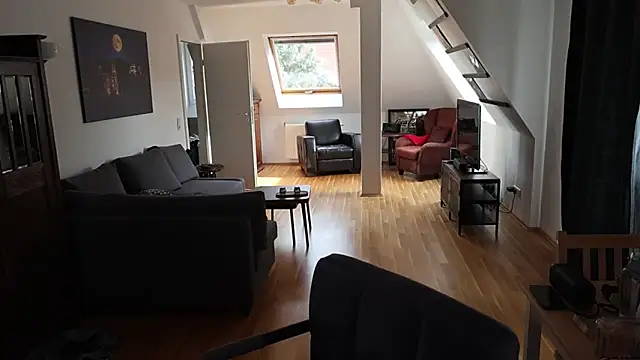 Tanywish online show from 4, 11, 2025