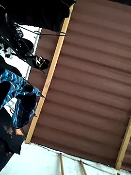 damian bull online show from 24, 11, 2025