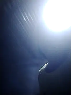 adchio online show from 12, 4, 2026