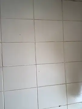 Novinhodotadomg online show from 6, 11, 2025