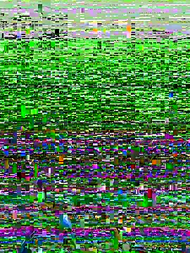 Novinhodotadomg online show from 15, 11, 2025