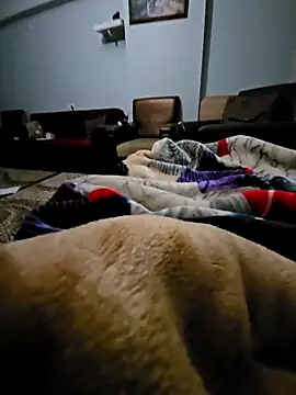 fena-sikerimmm online show from 21, 2, 2026