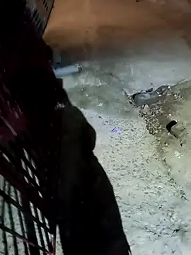 nughtytommy01 online show from 10, 4, 2026