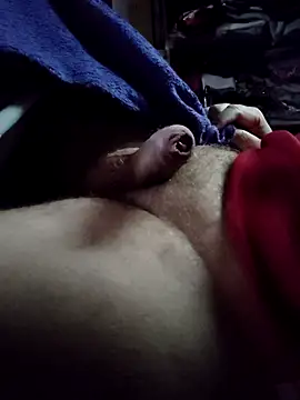 bad wolf28 online show from 16, 3, 2026