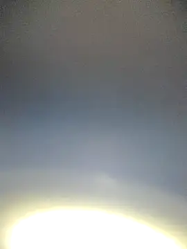 Yamamoto-Sado online show from 12, 11, 2025