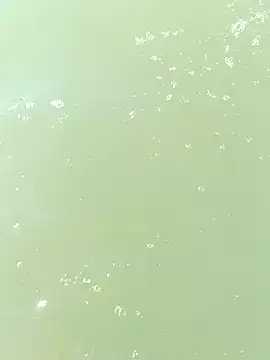 pegaso369 online show from 29, 9, 2025