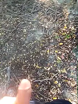 pegaso369 online show from 15, 10, 2025