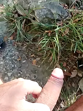 pegaso369 online show from 12, 11, 2025