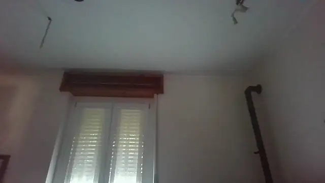 Snapshot of Lynceus chatting on 26, 5, 2026 Lynceus online show from 26, 5, 2026