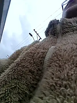 Engeelll online show from 18, 3, 2026