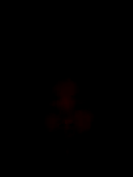 CoMay003 online show from 15, 12, 2025