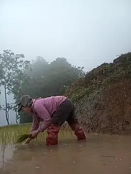 CoMay003 online show from 18, 4, 2026