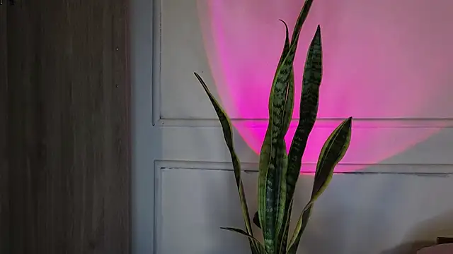 Ice Princess  online show from 3, 10, 2025