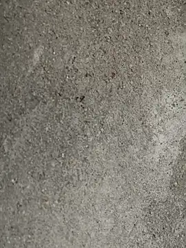 Cute-Swewty online show from 15, 9, 2025