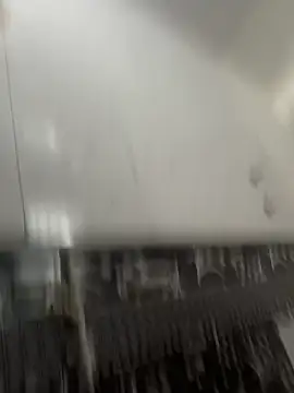 NoddingScorpion online show from 8, 3, 2026