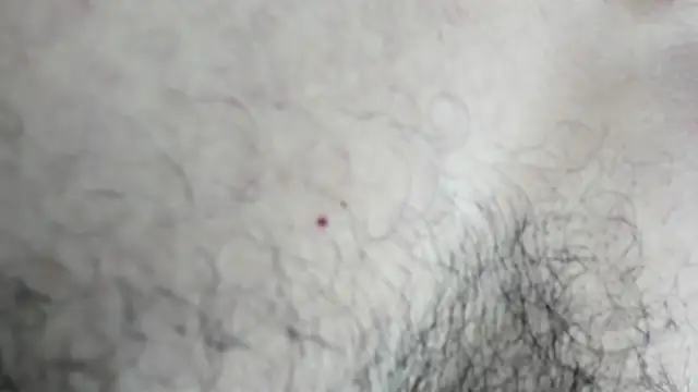 latinhotmuscle online show from 31, 10, 2025