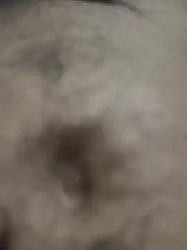 Hat-Raja77 online show from 8, 10, 2025