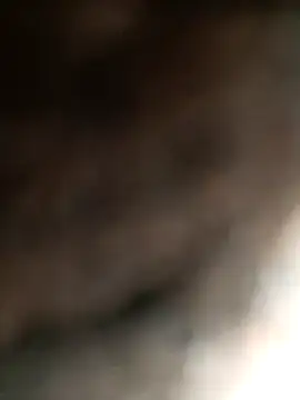 Hat-Raja77 online show from 4, 11, 2025