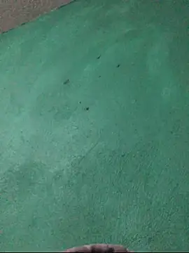 carlo20n online show from 15, 10, 2025