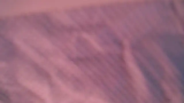 Liz Hu online show from 10, 10, 2025