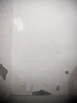 sassyy poonam online show from 11, 10, 2025