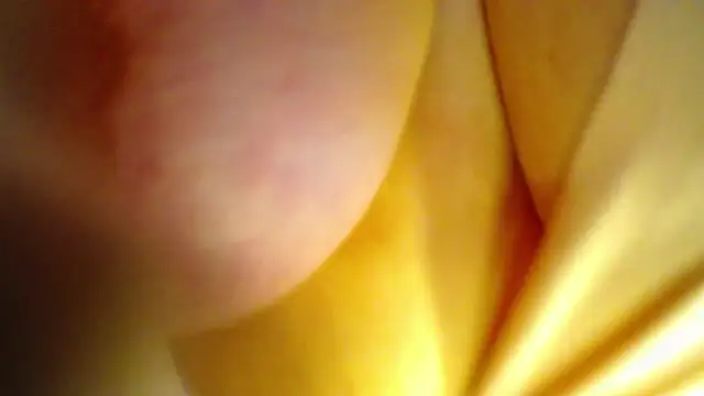 AntonellaRicher online show from 26, 9, 2025