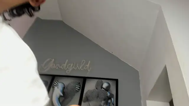 camillo virgil online show from 14, 10, 2025